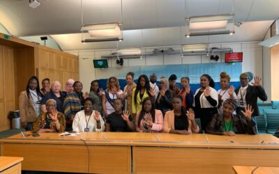 Awareness to Action: First Public Meeting of the APPG on Black Maternal Health
