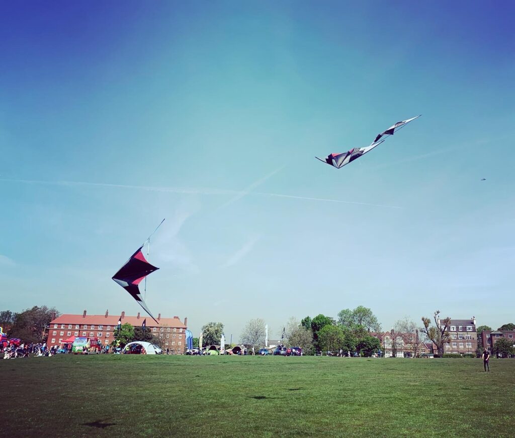 Kites swooping over Streatham Common